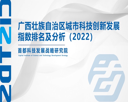 大鸡吧爆操美女逼【成果发布】广西壮族自治区城市科技创新发展指数排名及分析（2022）